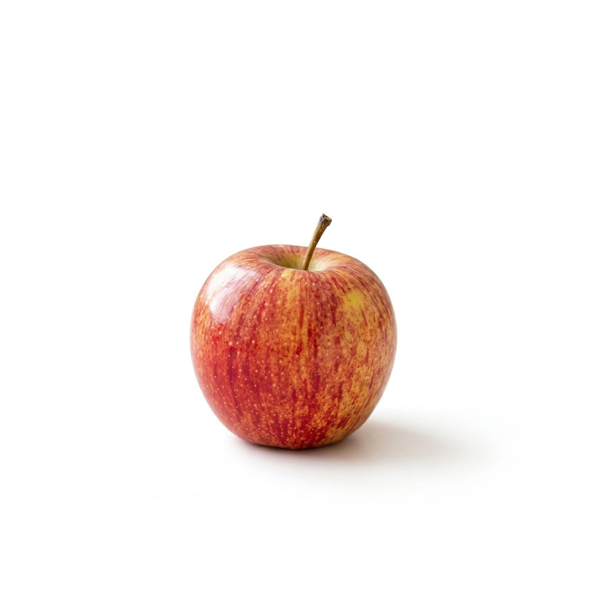 Gala Apple