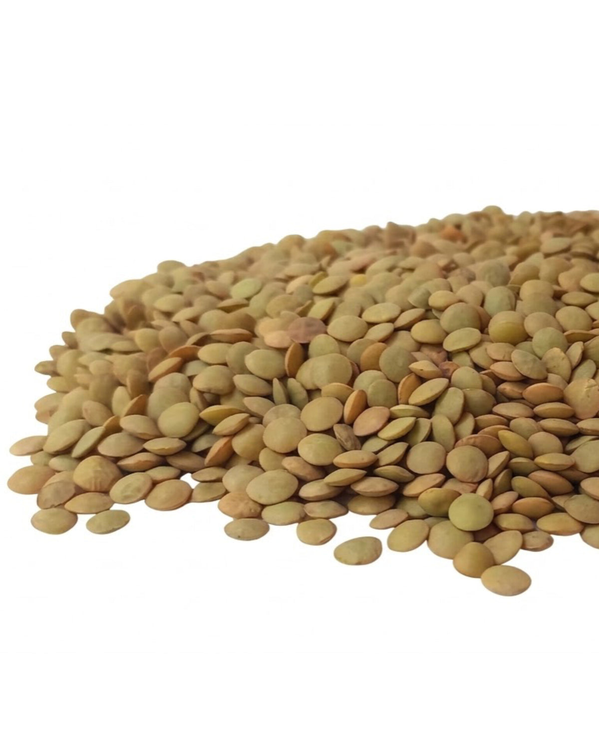 Lentils (lb)
