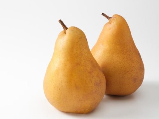 American pear