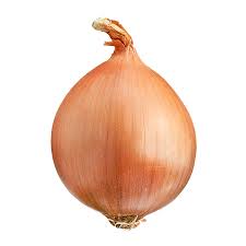 Onion